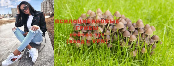скорость Белокуриха