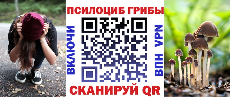 Галлюциногенные грибы MAGIC MUSHROOMS  Красный Холм 